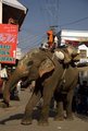 Sadhu riding an Elephant