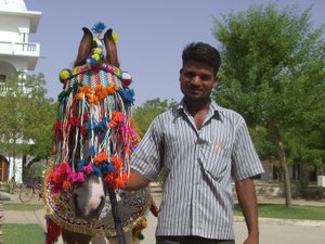 One of our Ashram Horses