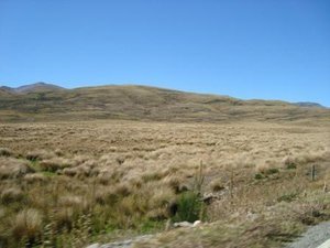 dry NZ plateau