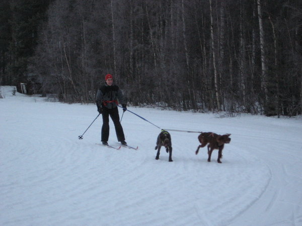 Chris skiing with dogs #2