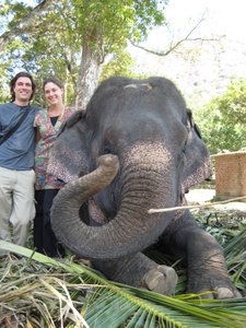 Elephant ride in Kumily #2