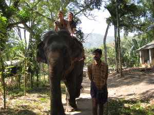 Elephant ride in Kumily 