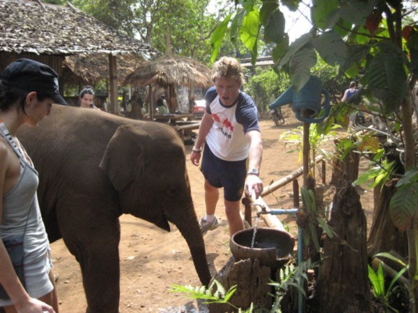 Tim letting baby elephant have a drink
