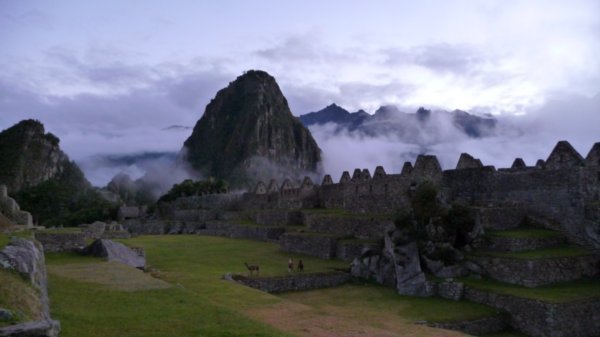 Machu Picchu early morning