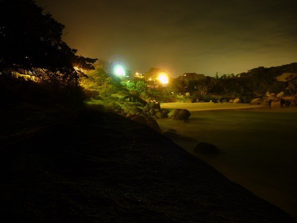 night view on the secret creek