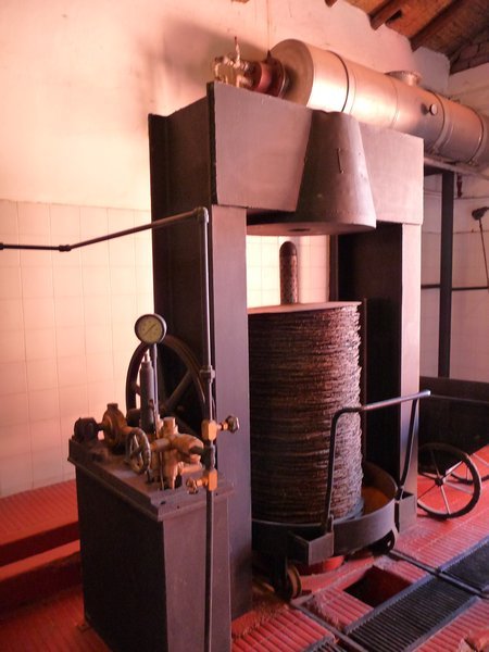 old olive press machine