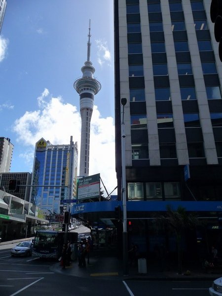 The Sky Tower from Queen street