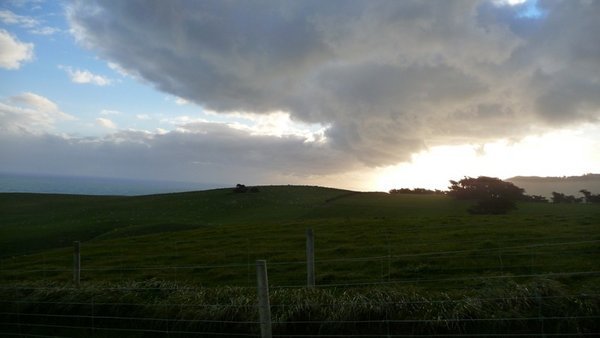 sunset on the hill of Dunedin