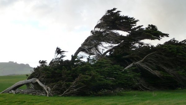 yes, the wind was quite strong