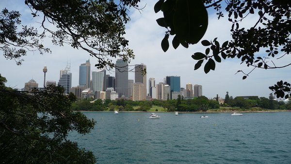 Center of Sydney through the botanic garden