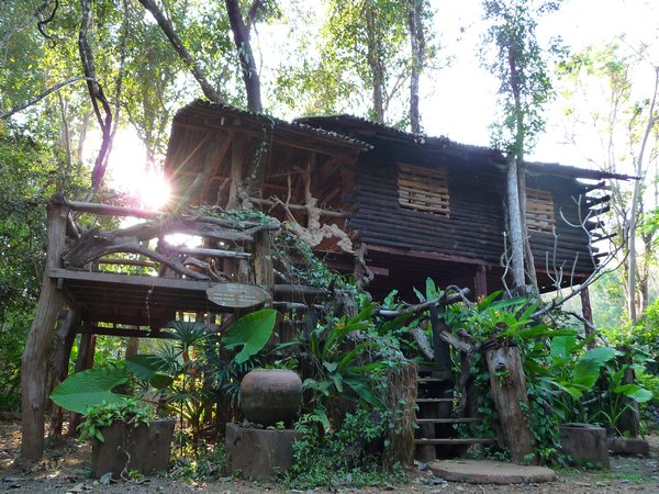 the jungle tree house