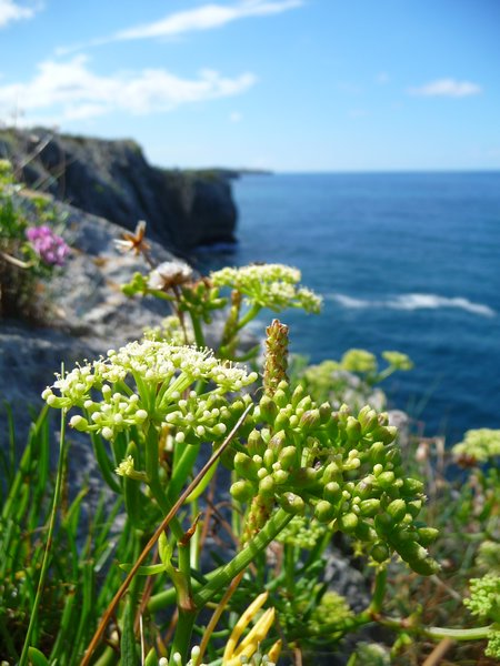 the cliff in Asturias