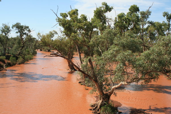 Ueberschwemmtes Outback