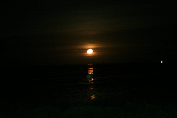 Staircase to the moon in Broome