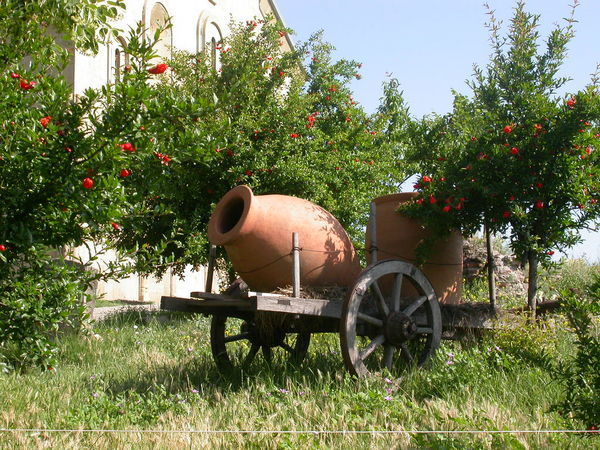 Wine Wagon