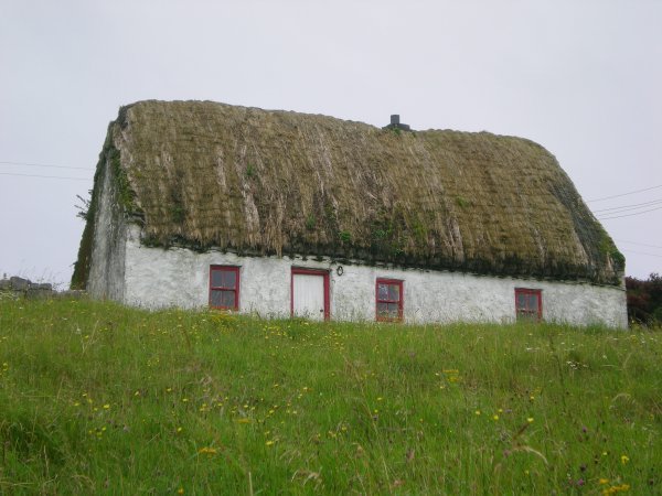 Thatched roof