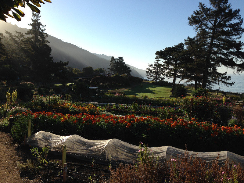 Esalen gardens