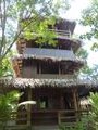 Jungle Pagoda