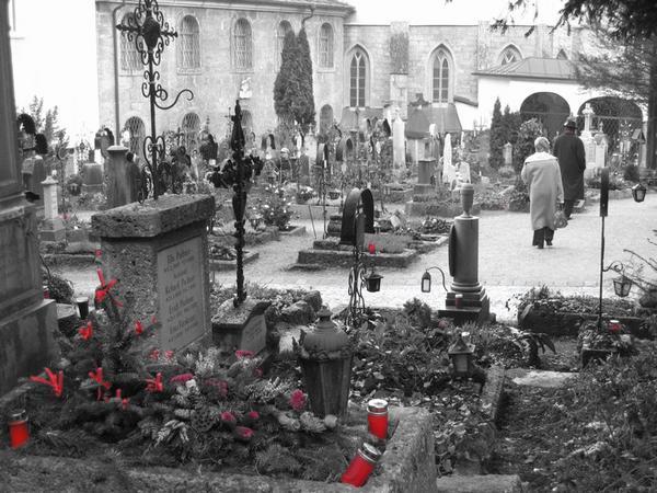 Splashes of red in a Salzburg cemetery