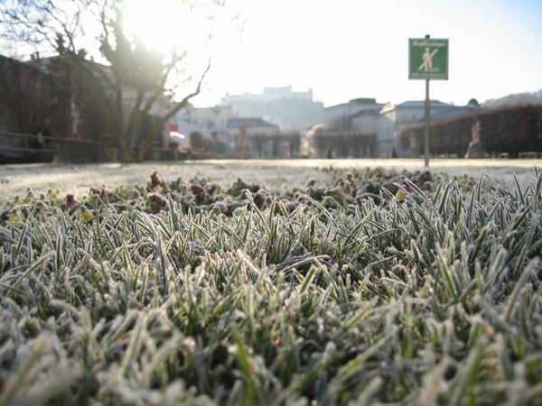 Frosted grass on an early morning in Salzburg