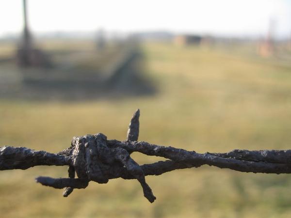 Barbed wire, Auschwitz-Birkenau