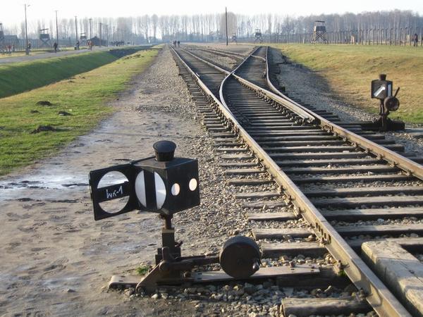 Train tracks entering Auschwitz-Birkenau