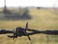 Barbed wire, Auschwitz-Birkenau