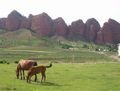 Horses grazing, beneath the red-stone bluffs of Jeti-Orguz