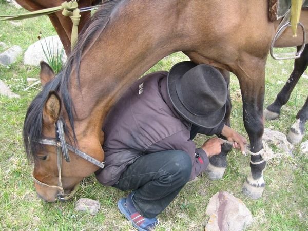 Untying the horses, preparing to return to the camp