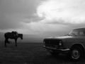 Horse & car weathering a storm on the jailoo; taken from inside a warm yurt