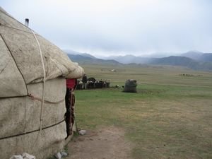 A final look at the yurt before heading back to Kochkor