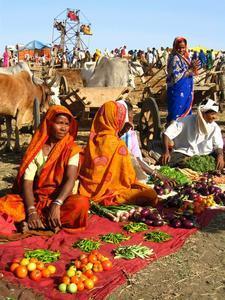 Women selling veges at the annual Hatru fair Women selling veges at the annual Hatru fair
