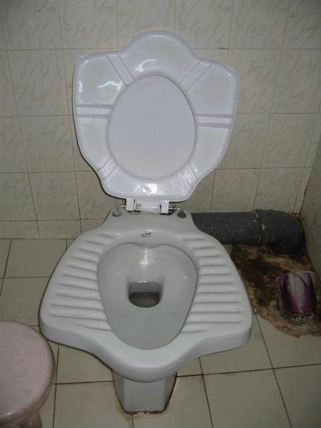 A curious 'hybrid' toilet that I saw in Aurangabad. =P
