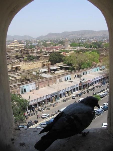 A pigeon's perspective from the Iswari Minar Swarga Sal