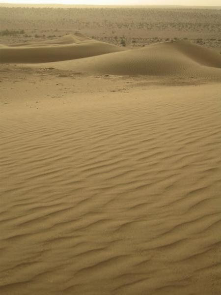Thar Desert dunes