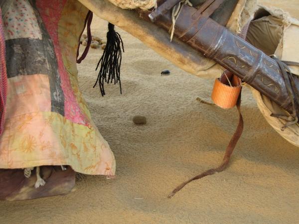 More beetle-tracks, under the camel saddle