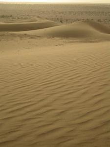Thar Desert dunes