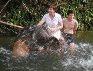 Swimming with elephants on Koh Chang!