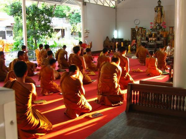 Monks in afternoon sunlight, (Wat Chedi Luang)