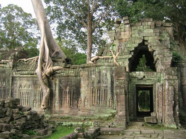 Shot of one of Preah Khan's main walls, from the inside