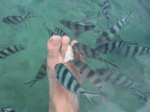 Attracting fish with bread between my toes