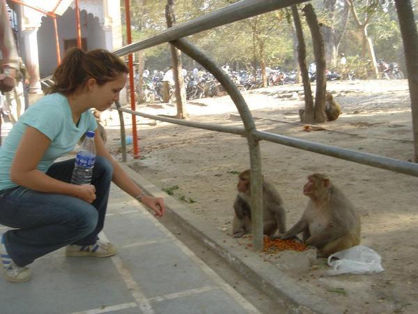 Suzanne eating with the monkeys