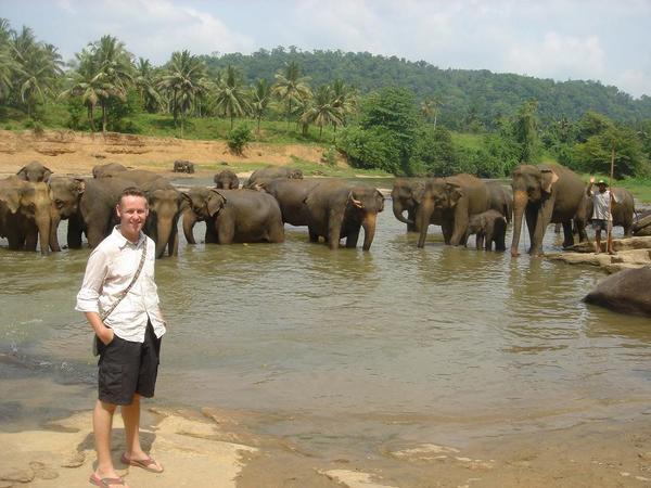 Steve and elephants