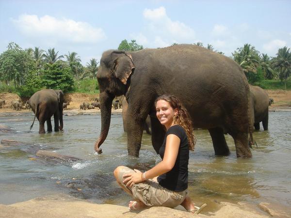 Suzanne and elephants