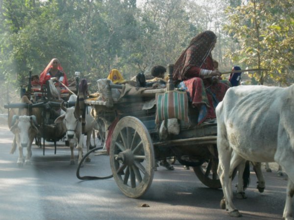Gitanos itinerantes en la carretera hacia Varanasi