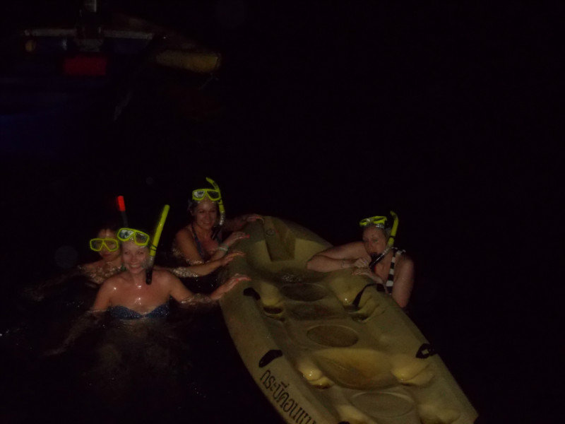 Midnight snorkelling with the plankton!
