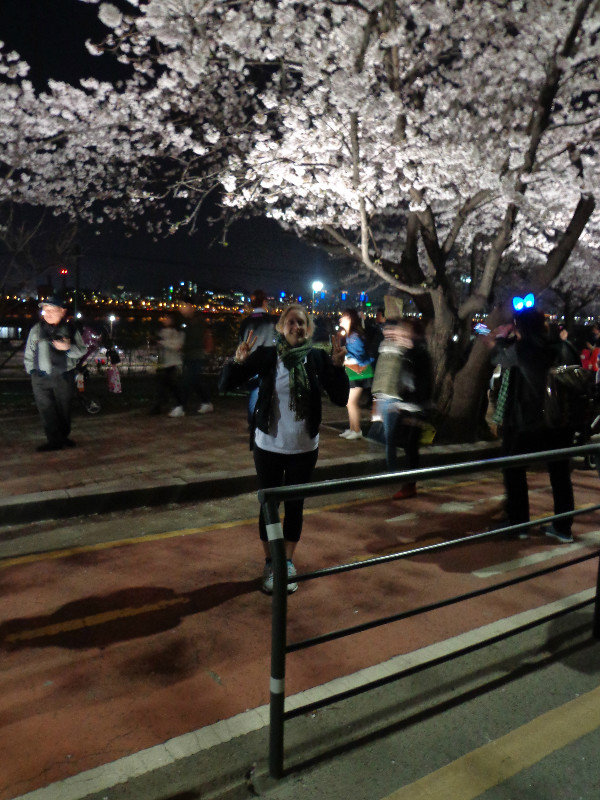 Me loving the cherry blossoms