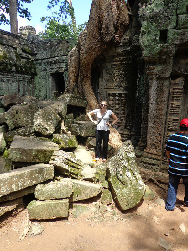 The 'tree temple'