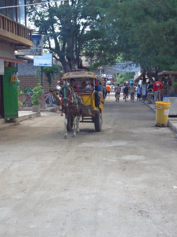 Horse and cart on Gili T