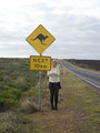 Where are the wild kangaroos?!